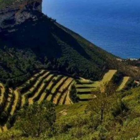 Le Cap Apartment *